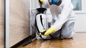 Best Real Estate Pest Inspections  in Norton, VA